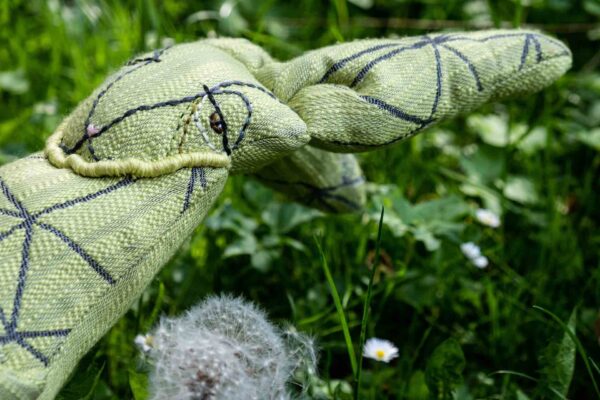 Dandelion bunny
